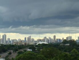 Reprodução Internet