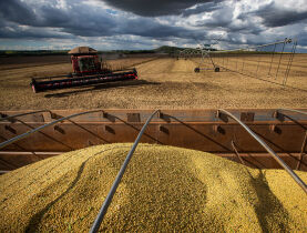 WENDERSON ARAÚJO - TRILUX/CNA