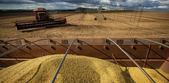 WENDERSON ARAÚJO - TRILUX/CNA