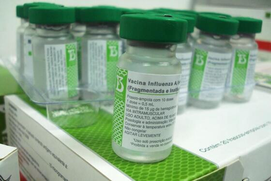 A estratégia de vacinação contra a influenza foi incorporada pelo Programa Nacional de Imunizações (PNI) em 1999