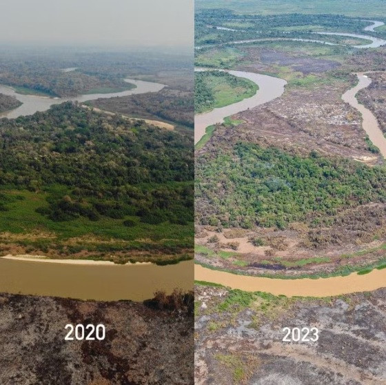 Pantanal 2020 2023