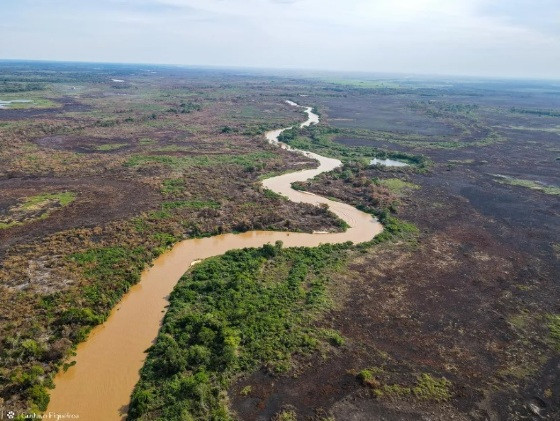 Incêndio devasta o Pantanal de MT