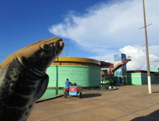 aquario municipal.jpg