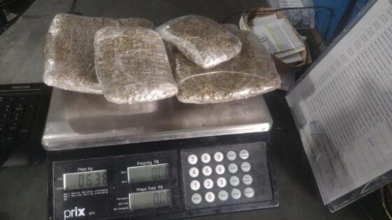 maconha2.jpg