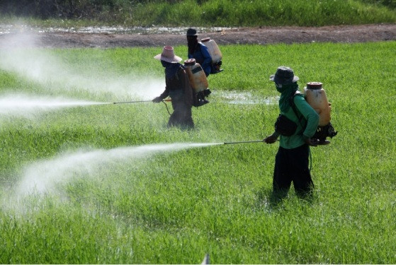 agrotoxico.jpg