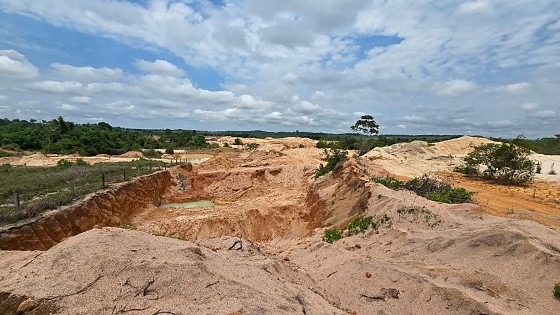 Ação da Operação Amazônia identificou danos em áreas de preservação permanente em cinco municípios