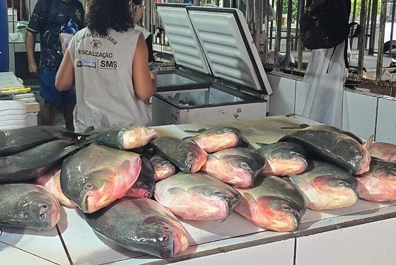 Durante a fiscalização, foram identificados comerciantes estocando e vendendo pescado em desacordo com a legislação vigente