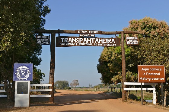 transpanteneira.jpg
